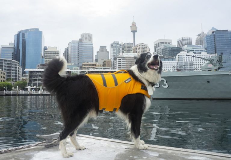 Photo Credit: Lauren Smith/Australian Geographic