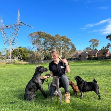 Darcy Asquith & Wahroonga Dog Walker