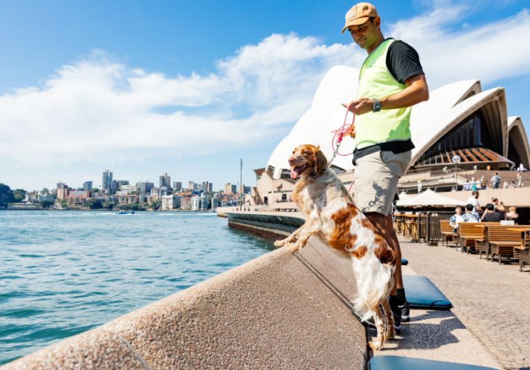 Seagull Patrol. Pedestrian. Photo Credit: Jacquie Manning