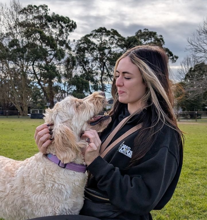 Chatswood dog walking & doggy daycare