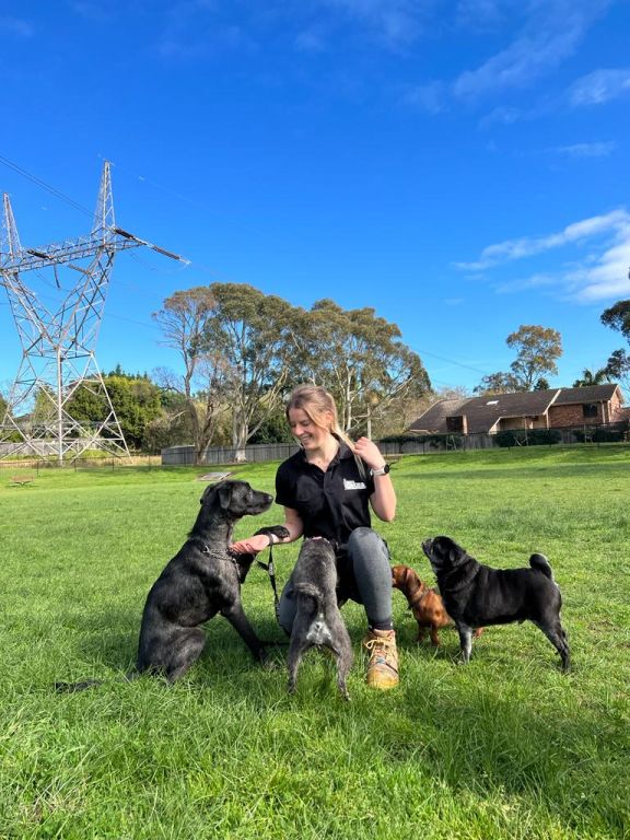 Darcy Asquith & Wahroonga Dog Walker